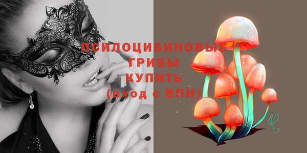 ECSTASY Алексеевка