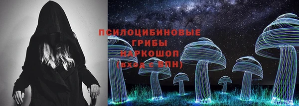 гидропоника Алзамай