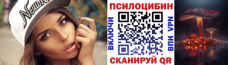 KRAKEN   цена наркотик  Динская  Псилоцибиновые грибы Psilocybine cubensis 